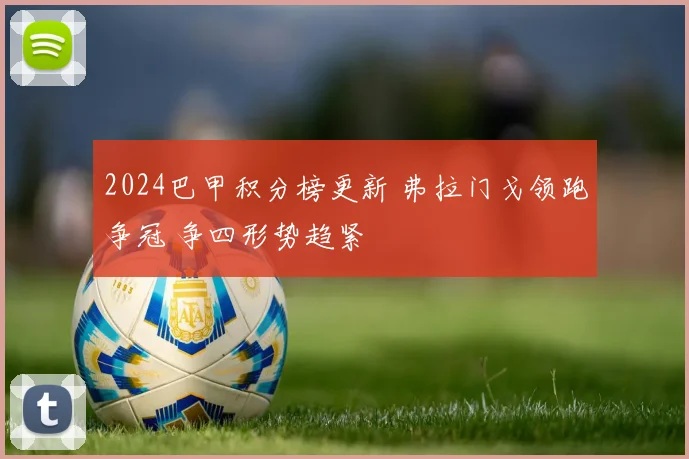 2024巴甲积分榜更新 弗拉门戈领跑争冠 争四形势趋紧